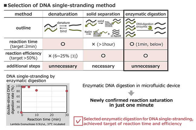 Selection of DNA single-stranding method