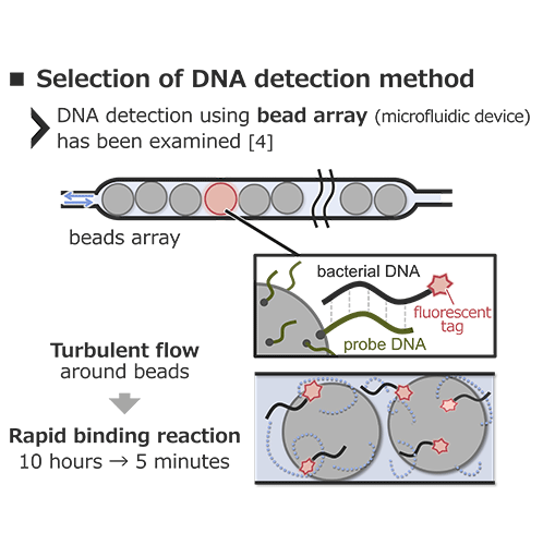 Selection of DNA detection method