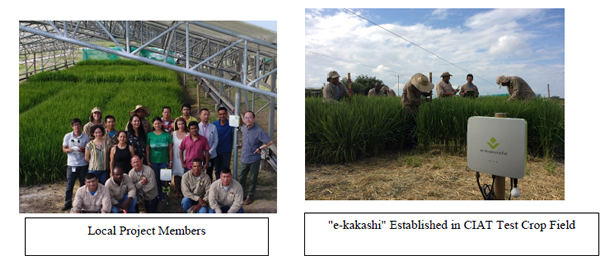 [image](left)Local Project Members,(right)"e-kakashi" Established in CIAT Test Crop Field