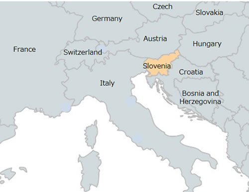 [image]Figure 3 Map of countries surrounding Slovenia