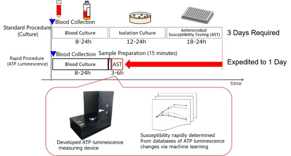 [image]Rapid Selection of Effective Antimicrobials for Patients with Septicemia using an ATP Luminescence Technique