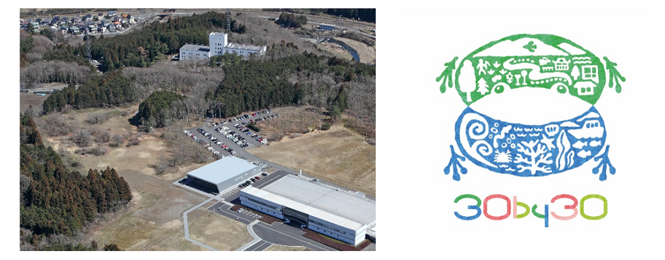 [image]Left : The Woodlands of Hitachi High-Tech Science (At the top of the picture) Right : The 30by30 Alliance for Biodiversity Logo