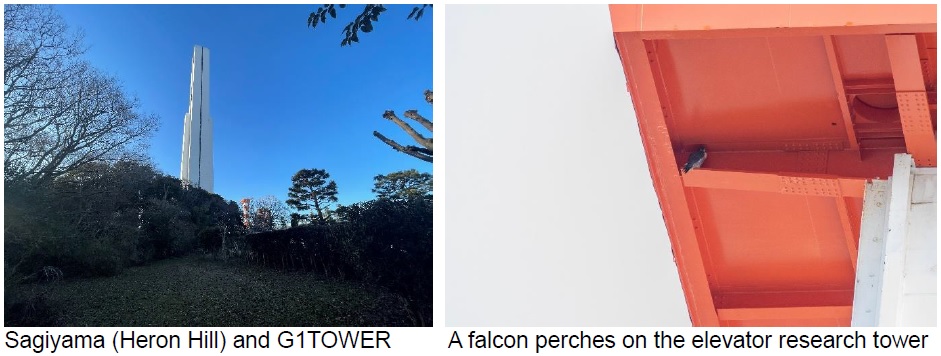 [image](left)Sagiyama (Heron Hill) and G1TOWER, (right)A falcon perches on the elevator research tower