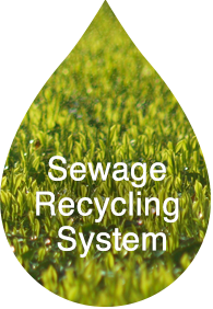 Sewage Recycling System