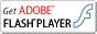 Adobe Flash Player的下载
