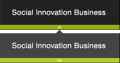 Social Innovation Business