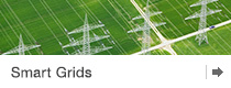 Smart Grids