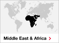 Middle East and Africa