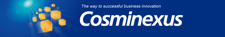 The way to successful business innovation Cosminexus