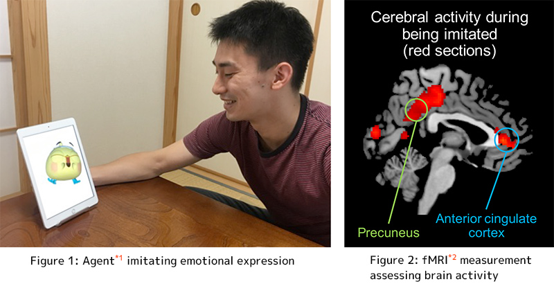 Figure 1: Agent imitating emotional expression, Figure 2: fMRI measurement assessing brain activity