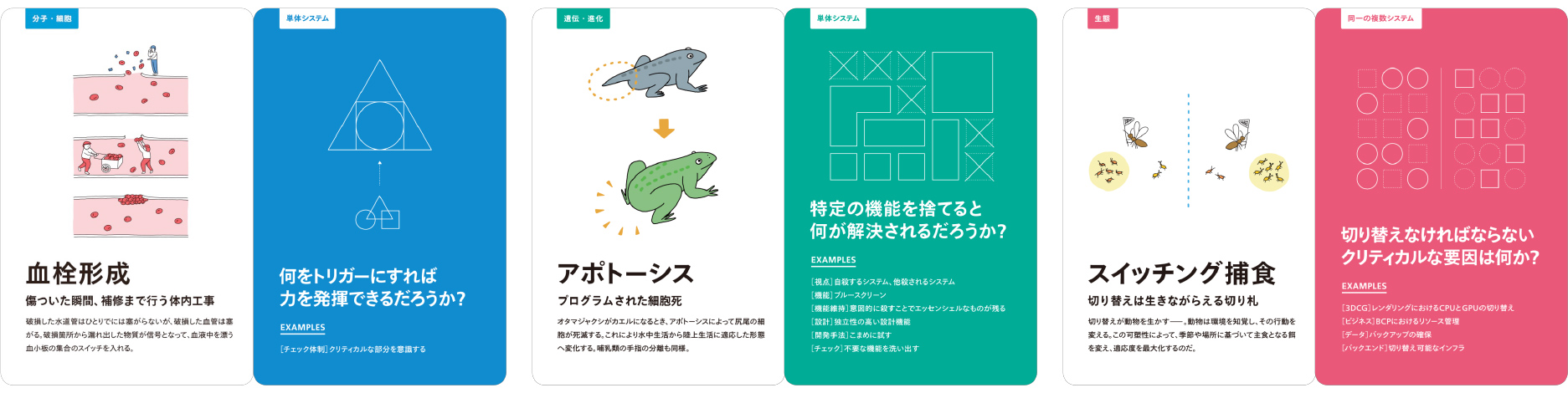 Examples of IKIMONO Inspiration Cards. Left: Biological Side Right: System Side