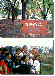 Wild Birds Sanctuary Project