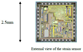 [Image]External view of the strain sensor