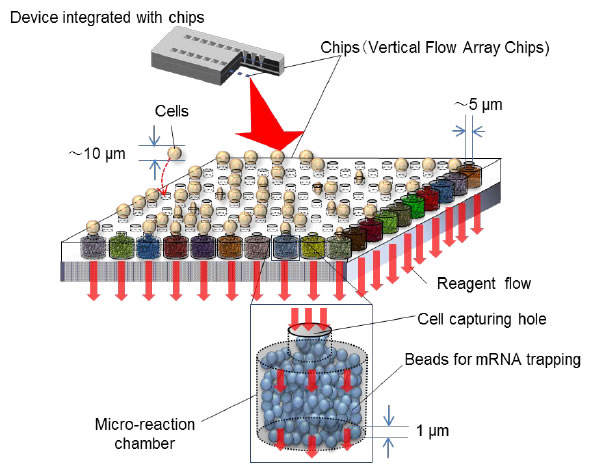 [image]Prototype device developed with the new chips