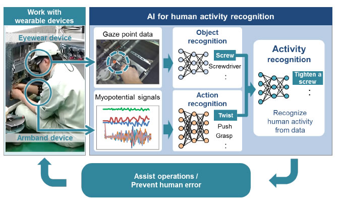 [Image]Workflow of human activity recognition
