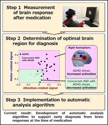 [image]Fig. 1. Process in developing the automatic analysis algorithm