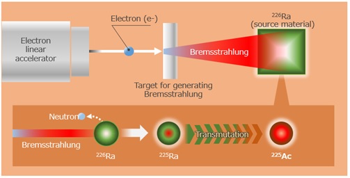 [image]Figure 2 Method of <sup>225</sup>Ac production using an electron linear accelerator