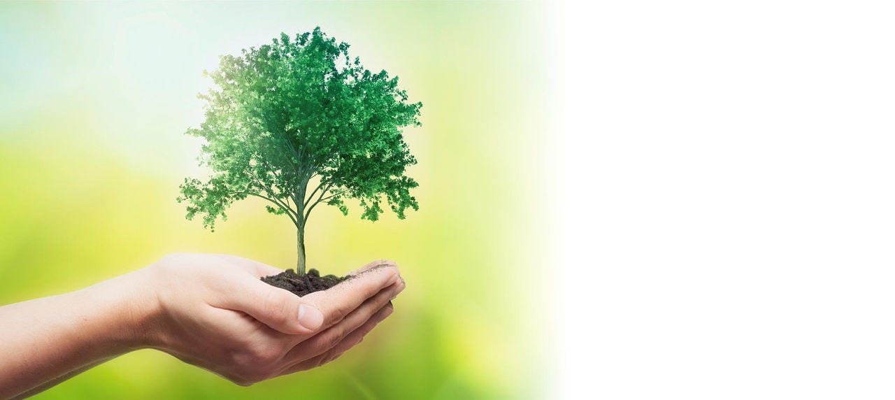 Initiatives to Achieve a Decarbonized Society