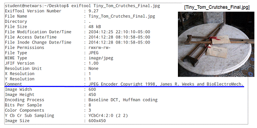 図 15：画像ファイルTiny_Tom_Crutches_Final.jpgのExifデータ