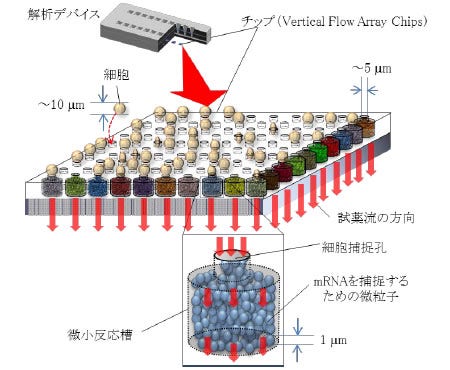 [画像] 図 開発したデバイスとチップの構成