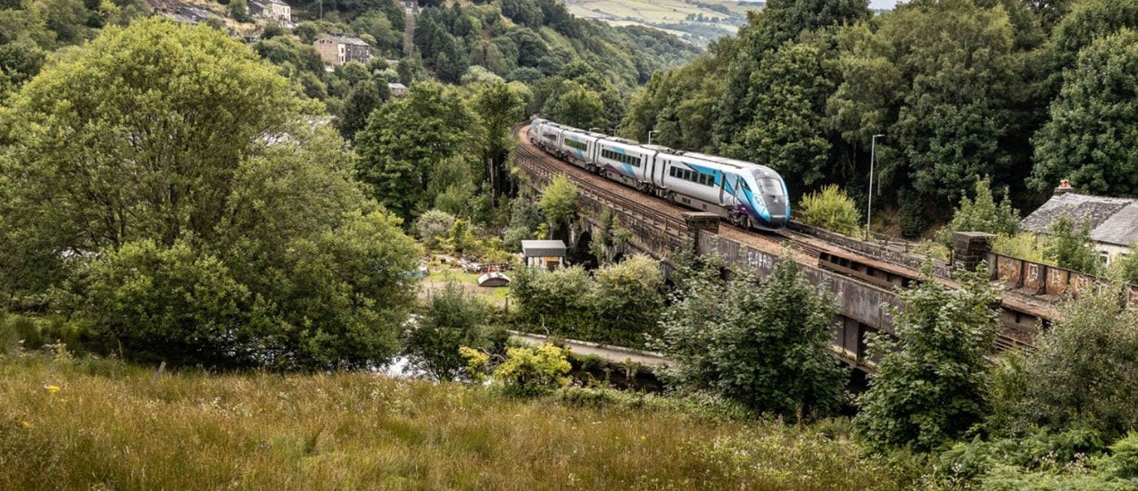 A train travelling on a railway surrounded by dense greenery and trees