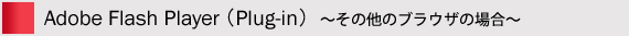 Adobe Flash Player(Plug-in)その他のブラウザの場合