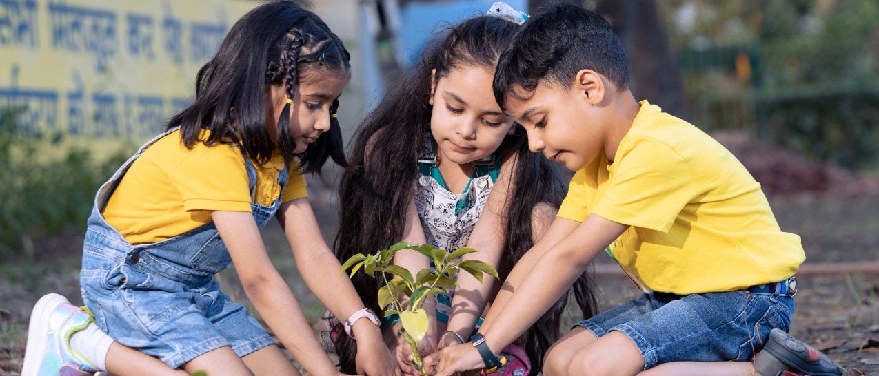 Loss of 19% of India’s tree
