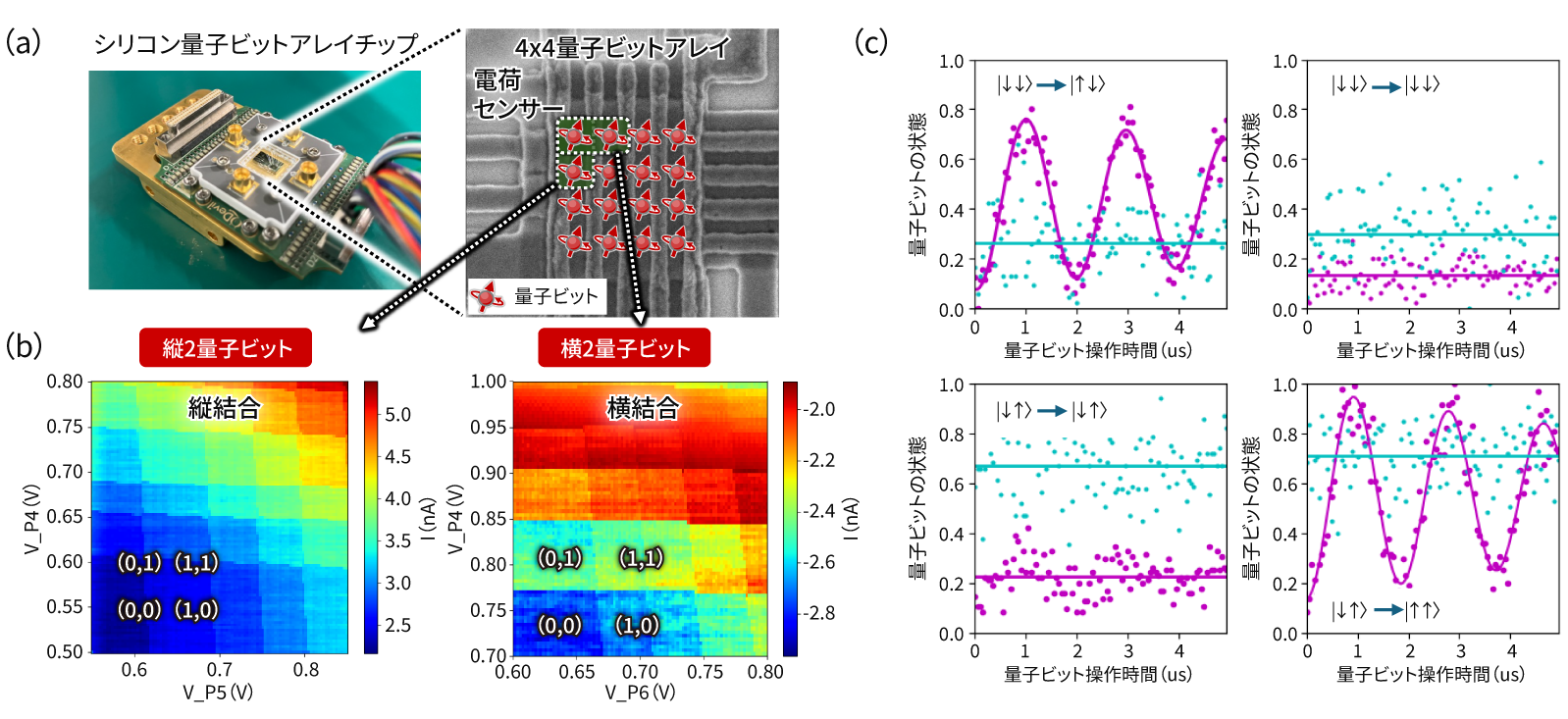［図1］試作した量子ビットアレイチップ（a）、縦横に配置した2量子ビット間結合のチャージスタビリティーダイアグラム（b）、および横2量子ビットにおける2量子ビット操作（c） 