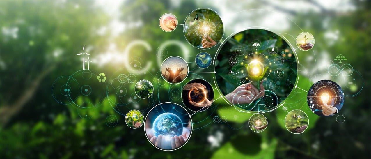 Building Sustainable Ecosystems