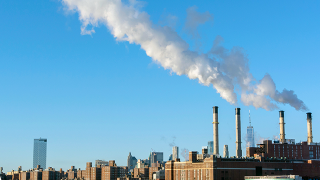 Overcoming Environmental Overcoming Environmental