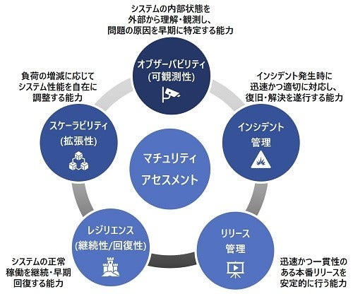 [画像]図2. マチュリティ・アセスメントの構成