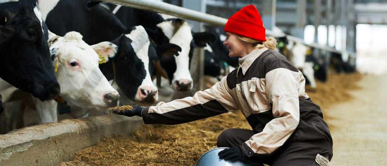 A New Era of Sustainable Farming Through Technology