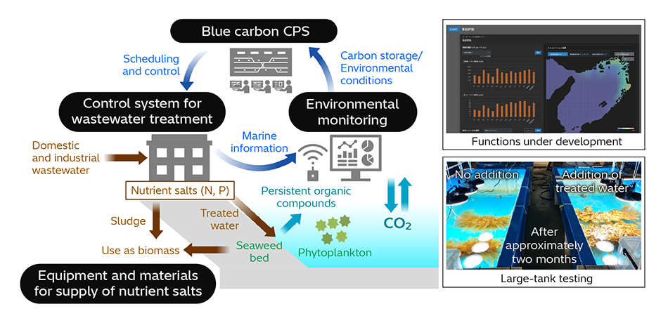 [4] Overview of Blue Carbon Solution