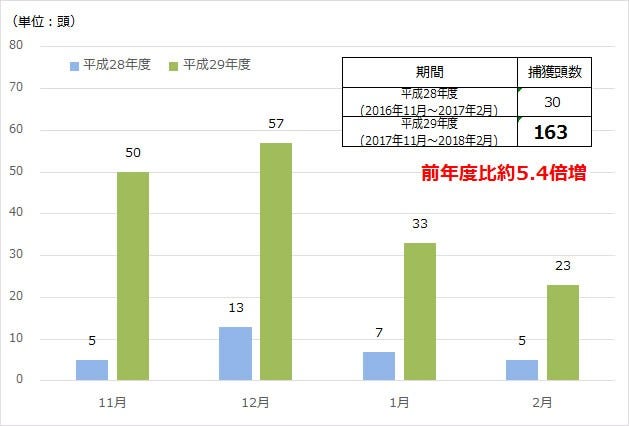 [画像]図2 五島市福江島でのイノシシ捕獲頭数の推移