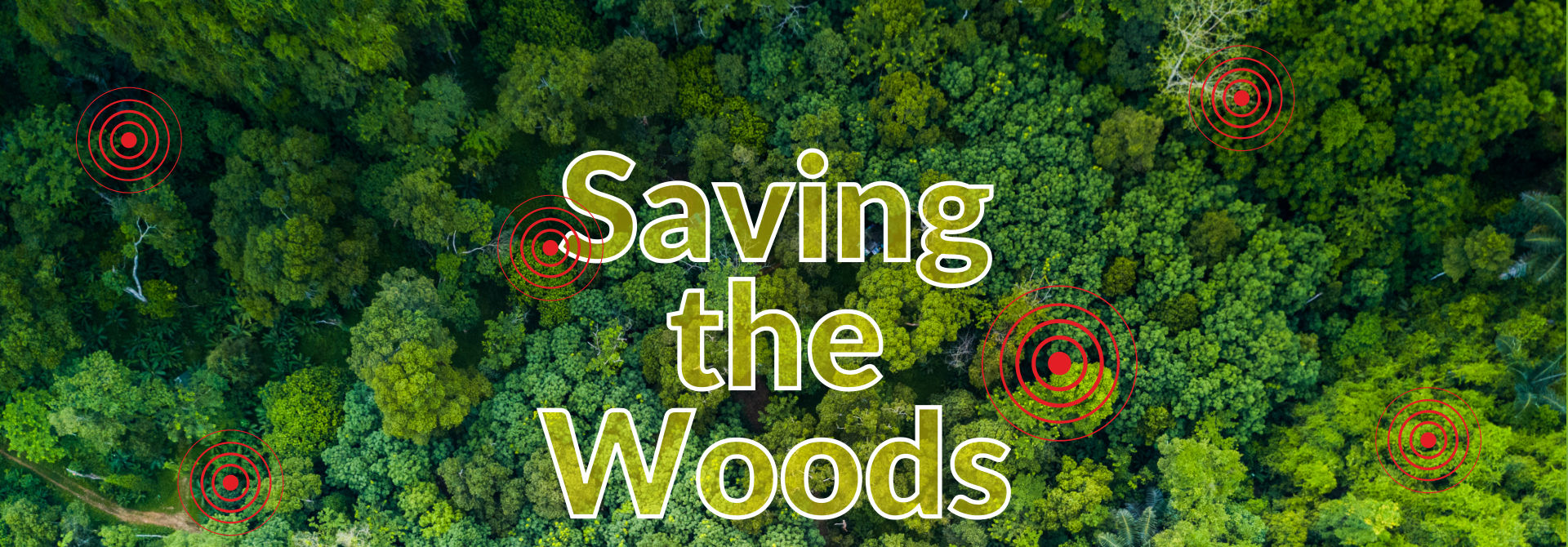 Saving the Woods