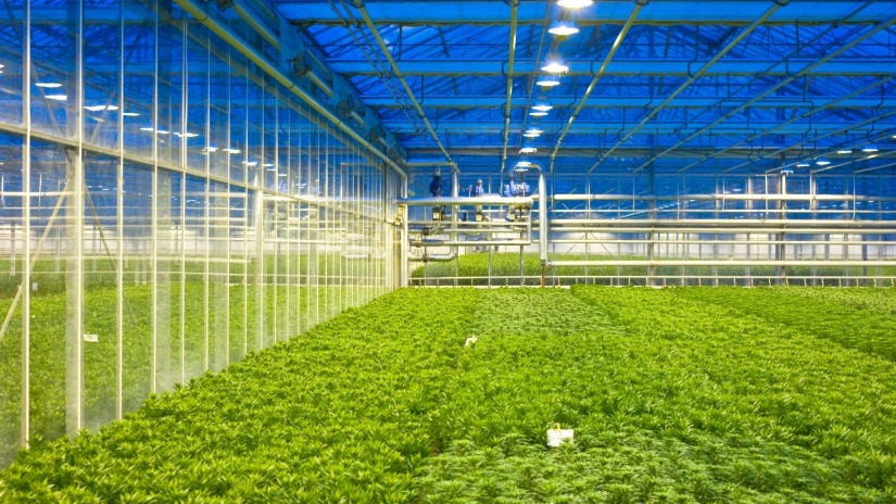powered-green-house