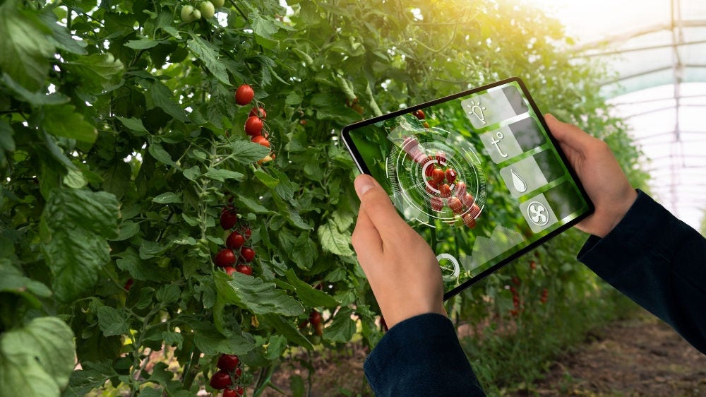 Enhancing Crop Resilience