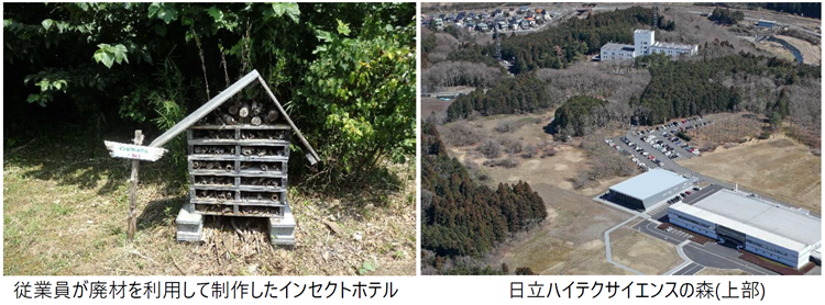 [画像](左)従業員が廃材を利用して制作したインセクトホテル、(右)日立ハイテクサイエンスの森(上部)