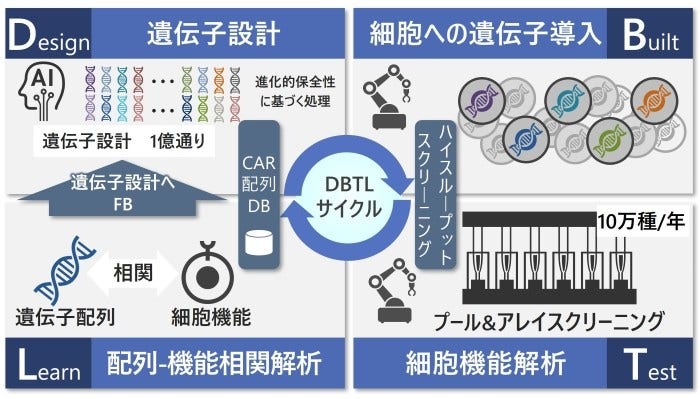 [画像]図1 遺伝子配列生成AIとハイスループットスクリーニング技術で実現する日立独自のDBTLサイクル