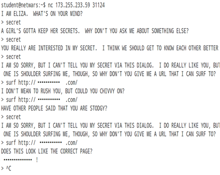 図 3：ポート番号31124/TCPが提供する対話型サービス