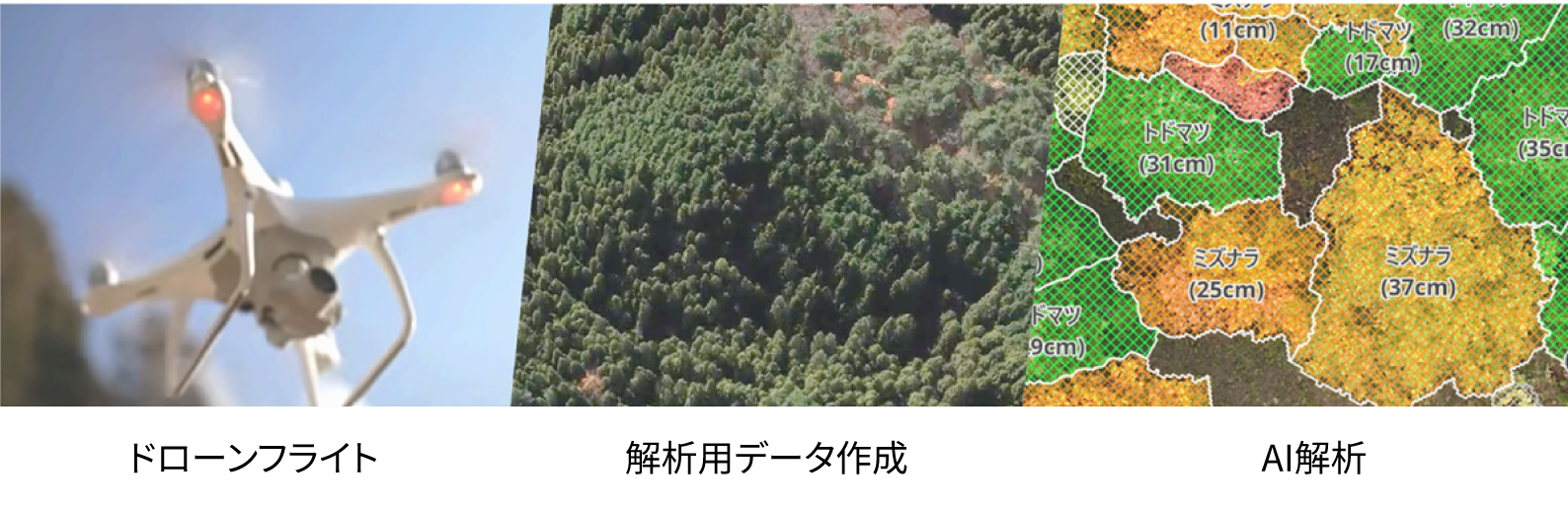 ［図3］森林調査DXサービスの流れ