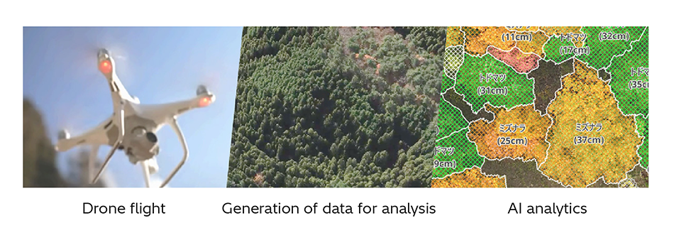 [3] Sequence of Operation for DX Service for Forestry Surveys