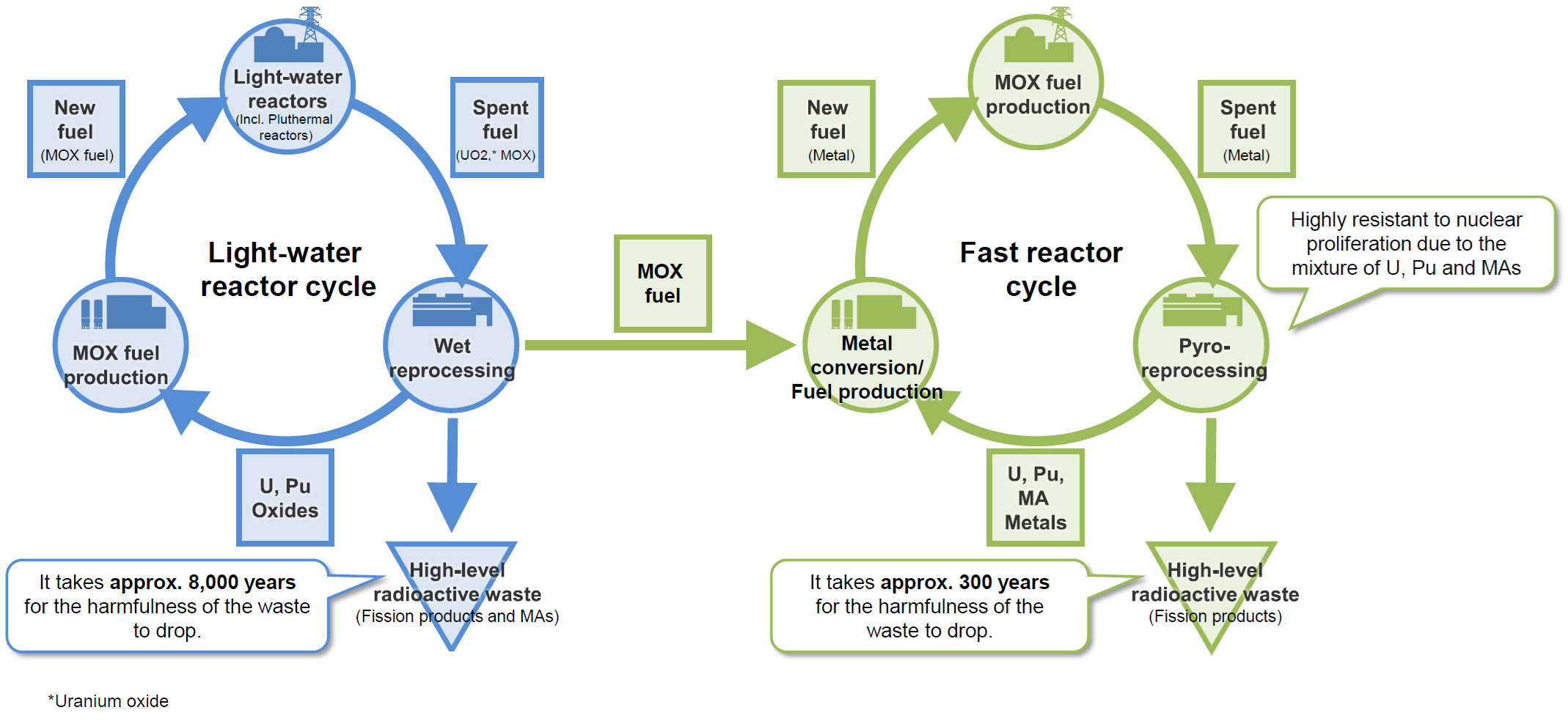 Outline of the light-water reactor cycle and the fast reactor cycle