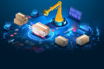 Supply Chain Disruptions