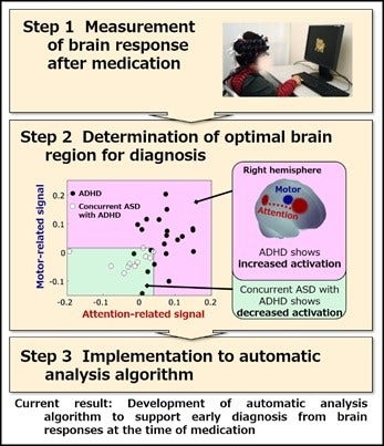 [image]Fig. 1. Process in developing the automatic analysis algorithm