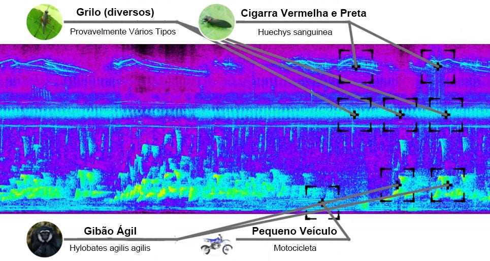 A segunda solução foi o armazenamento