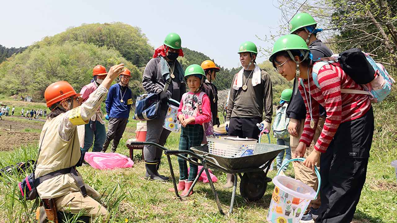 画像: セリバヒエンソウの抜き方と実物の解説