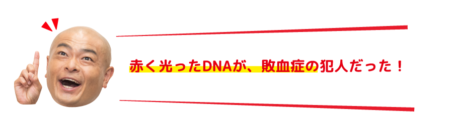 赤く光ったDNAが、敗血症の犯人だった！