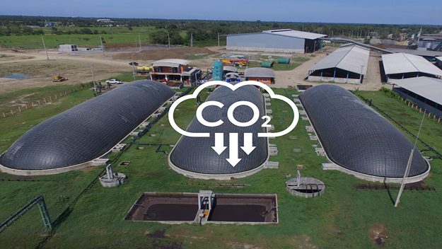 Thailand Says ‘Yes’ to Decarbonisation